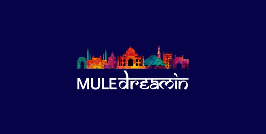 Mule_dreaming