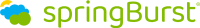 SpringBurst logo with yellow sun and blue-green cloud icon next to lime green text reading 'springBurst', a Salesforce consulting partner that works with Provar for test automation implementation.